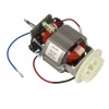 motor_2124306981