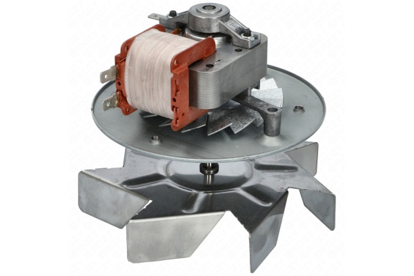 fve01031