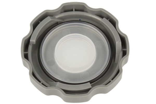 nevtelen12_1104709100